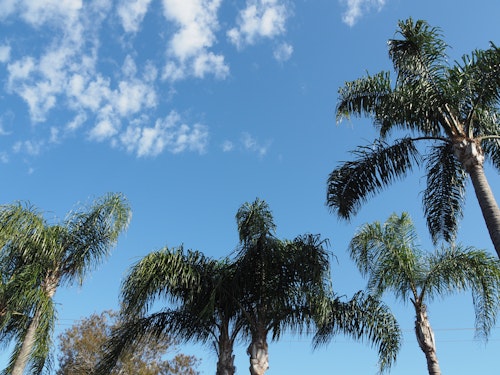 The Esplanade Motel thumbnail